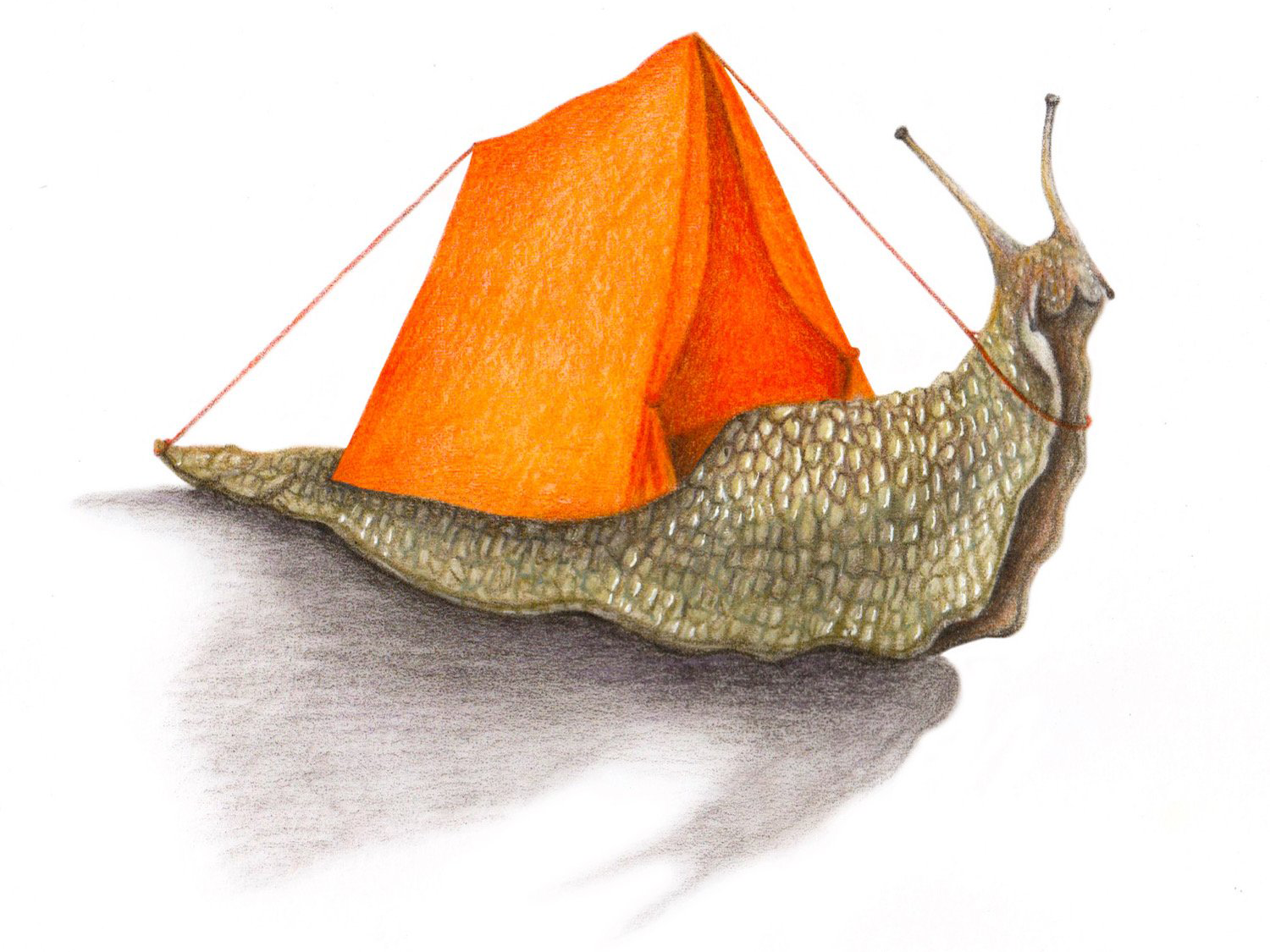 Inktober 2022 snail with tent