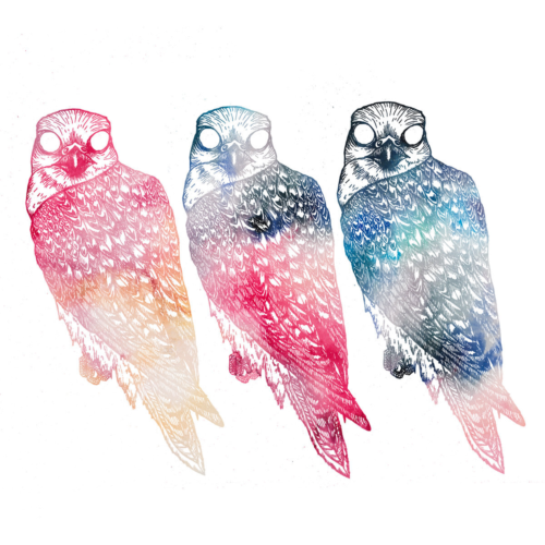 Flyyng Colours – When
